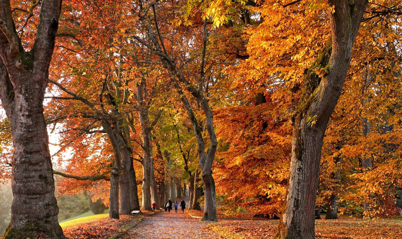 Autumn in Birmingham